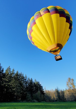 Hot Air Balloon landing in grass field with trees in background