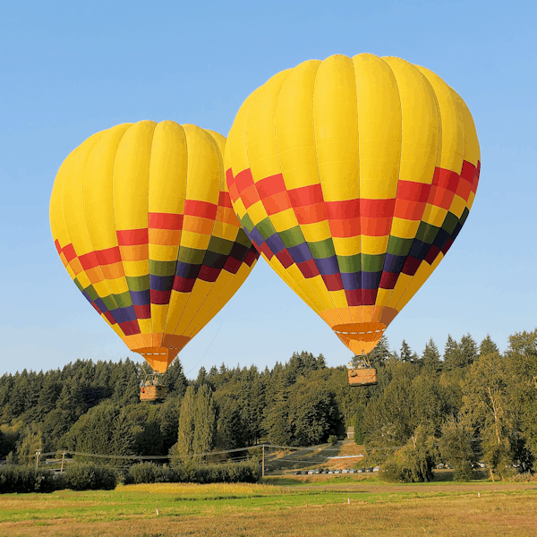 a pair of hot air balloons just after takeoff from a grass field with trees in the background