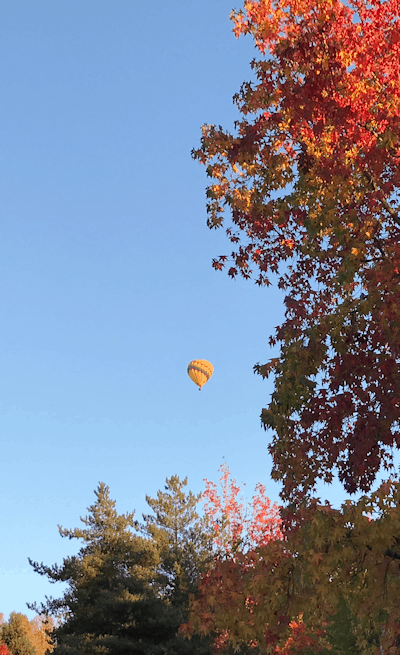 fall hot air balloon ride