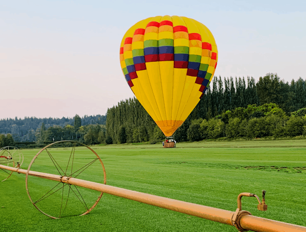 morning hot air balloon ride on grass field